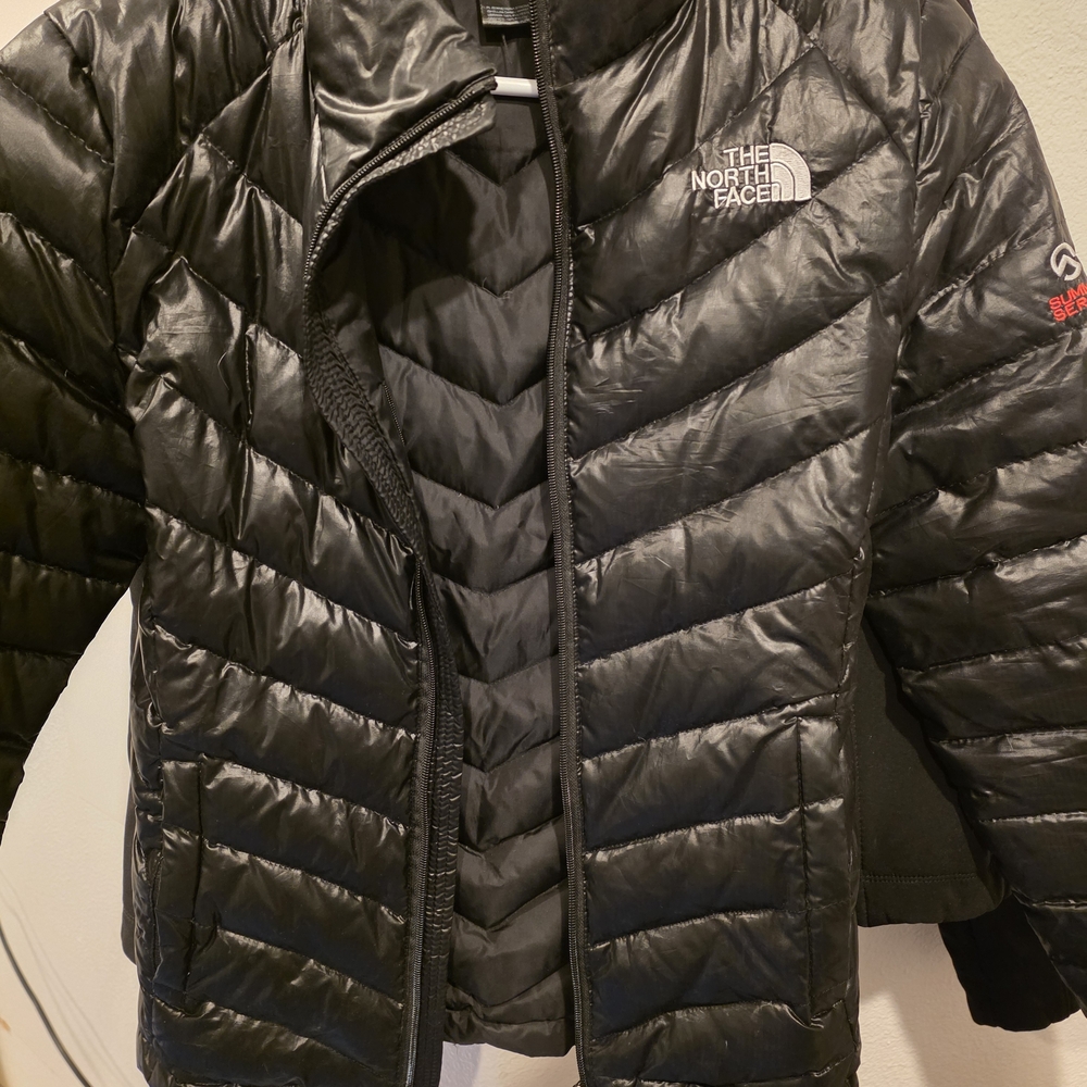 The North Face Glossy Black Puffer Coat